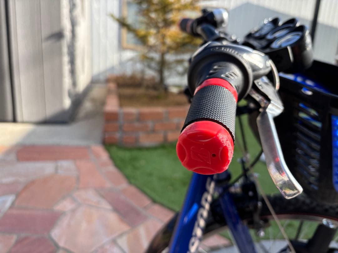 BRIDGESTONE24インチ　キッズサイクル青　直接受け渡し