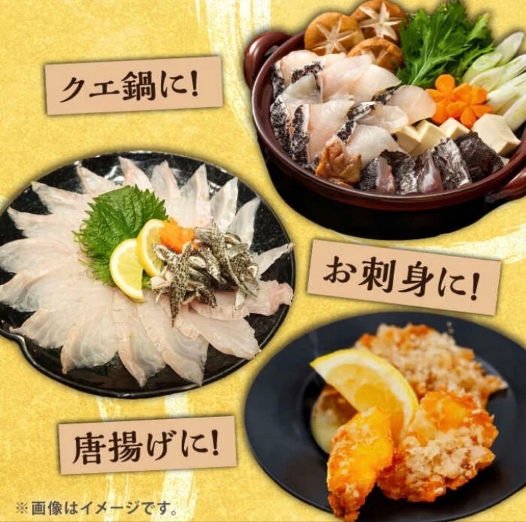 【クエ】活魚を出荷前に〆ます　アラ　長崎県対馬産　3kg前後（内臓除去前）