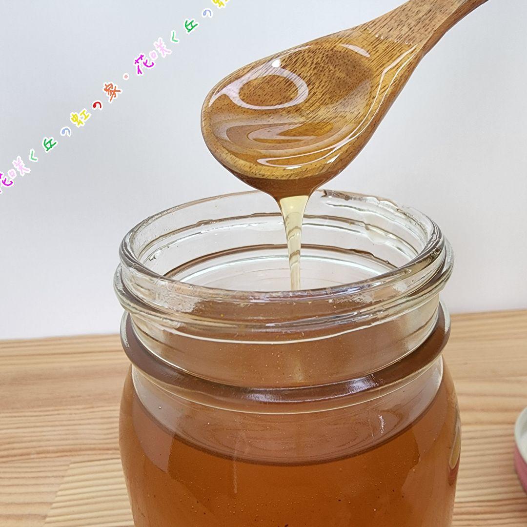 日本蜜蜂　百花蜜　500g　2本　生はちみつ　天然