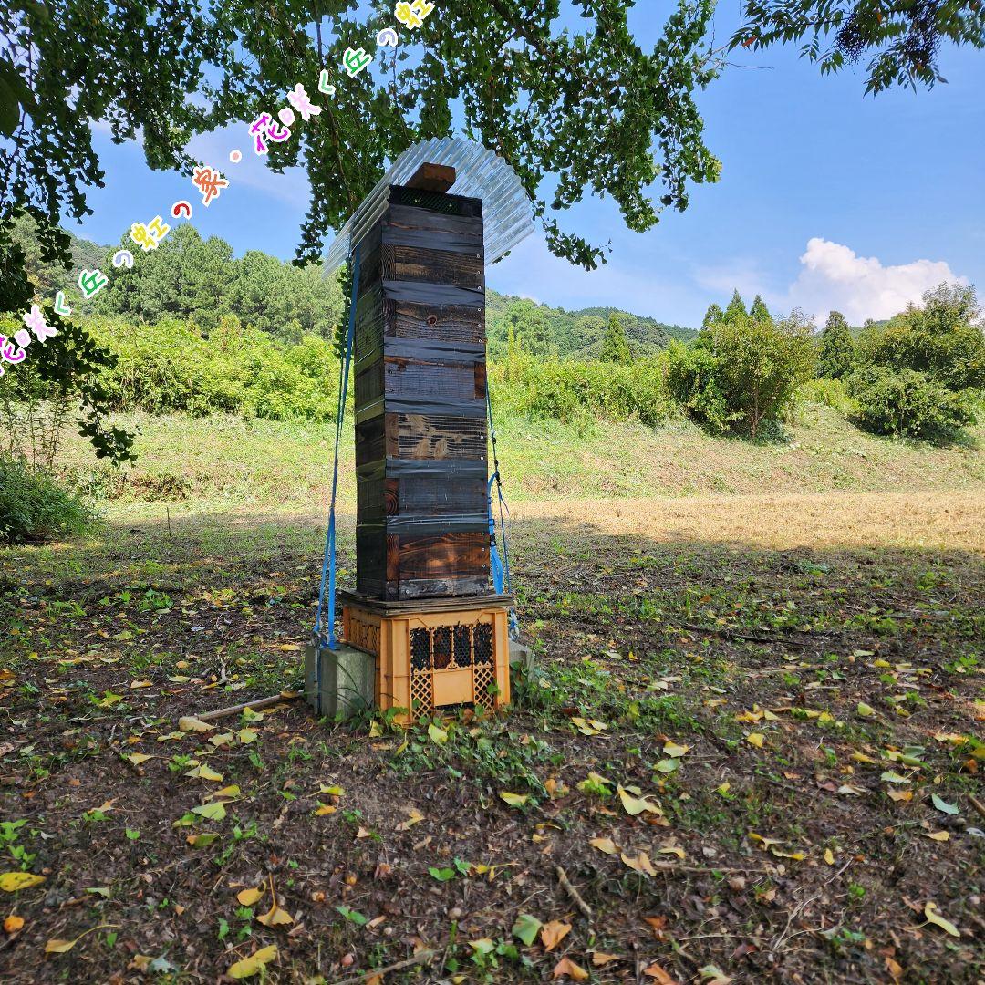日本蜜蜂　百花蜜　500g　2本　生はちみつ　天然