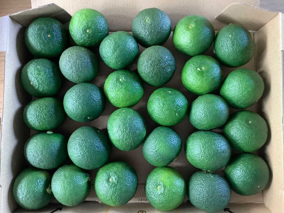 徳島県産露地すだち３Ｌ　10キロ以上入り朝収穫発送します