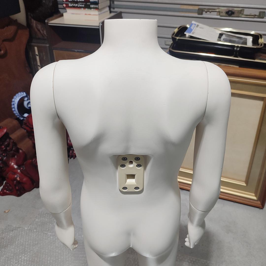 サンクリエイト 子供システムトルソ 全身 5歳 アイボリー塗装