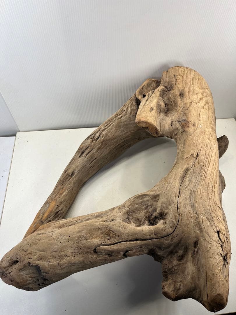 m10特大流木 アク抜き済み 爬虫類シェルター 登り木 インテリア オブジェ