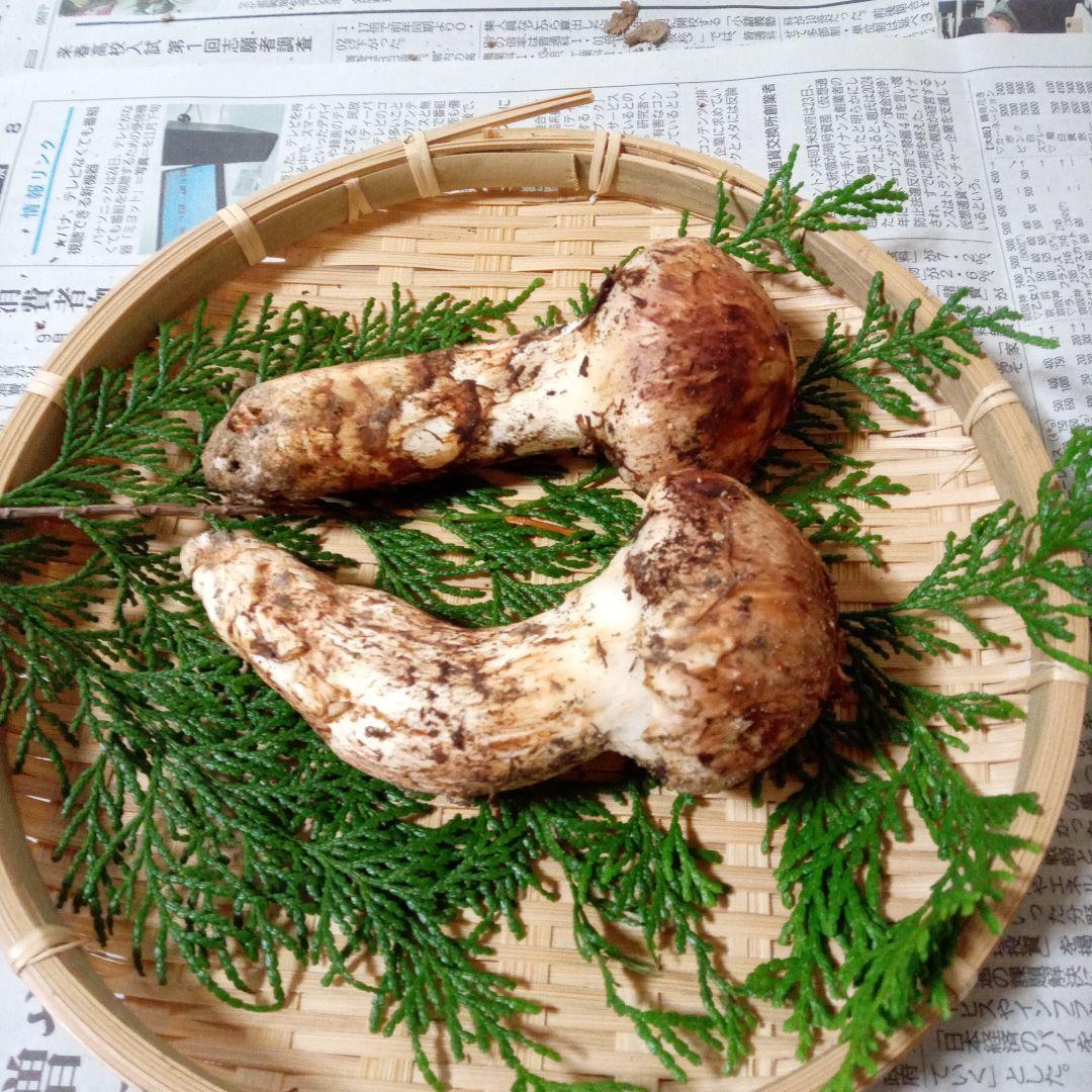 長野県産　松茸　136g　②
