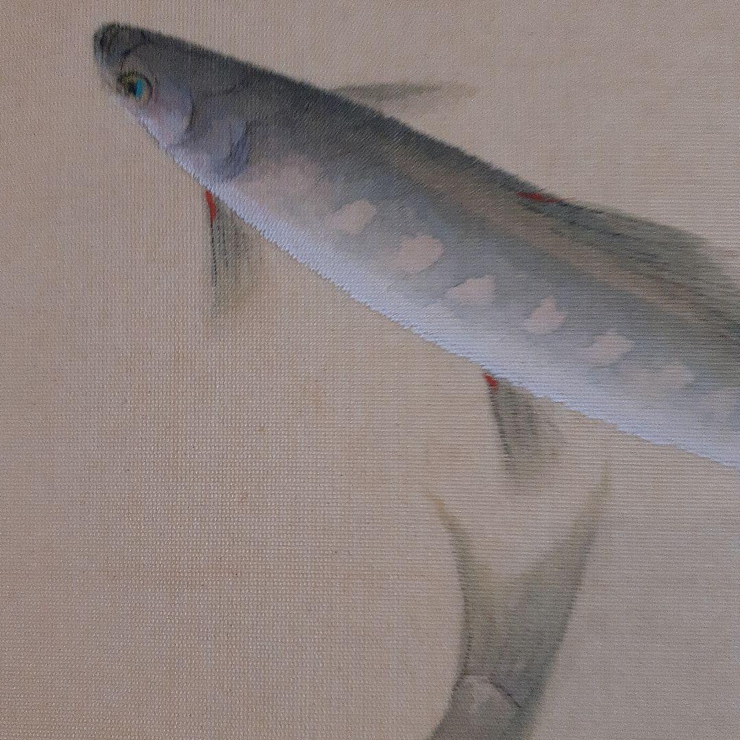 日本画家金島桂華の山女の双魚