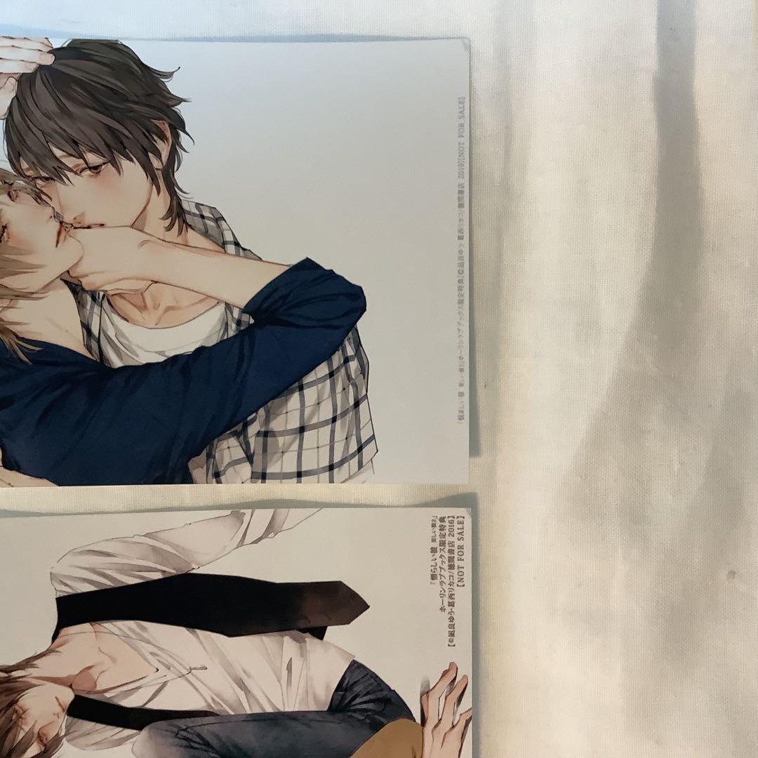 【美しい彼】トレーディングクリアカード TVドラマ化記念展 凪良ゆう 葛西リカコ