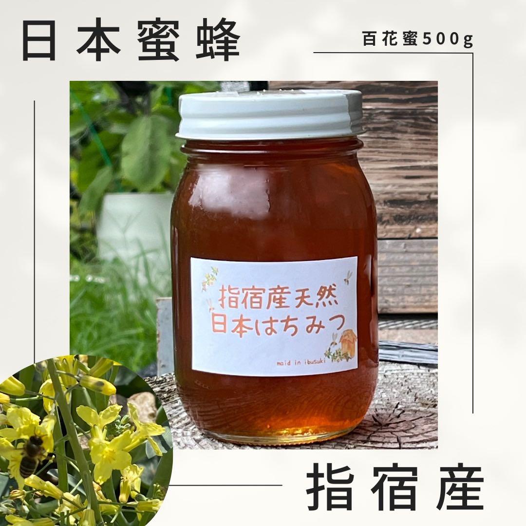 指宿産 日本蜜蜂 百花蜜500g×2本