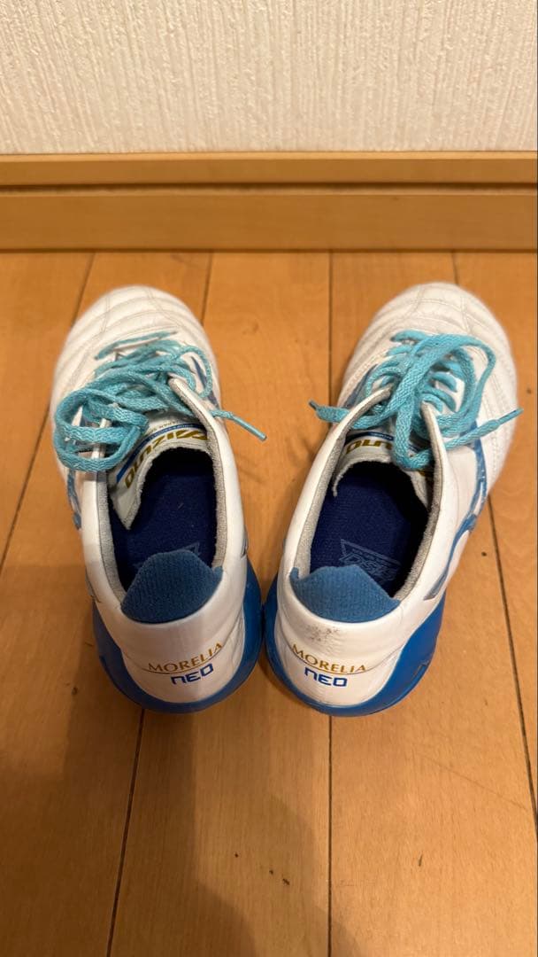 モレリア&モナルシーダ【22㌢】Mizuno サッカースパイク ホワイト/ブルー