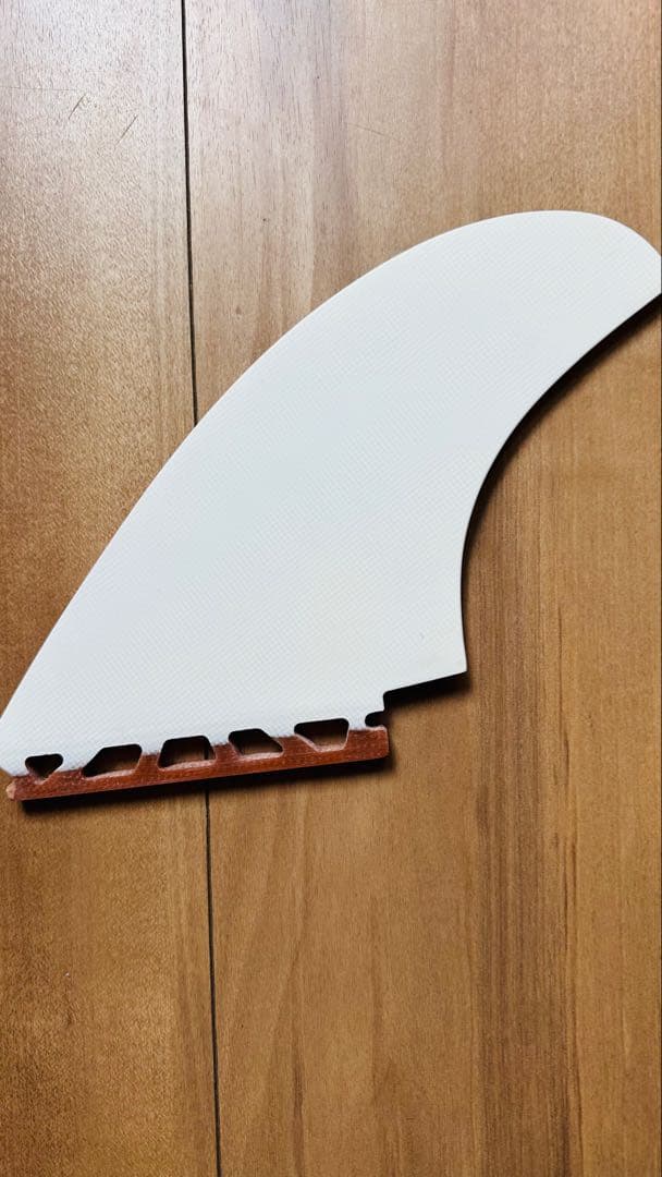 キャプテンフィン　マイキーフェブラリー　ツインフィン