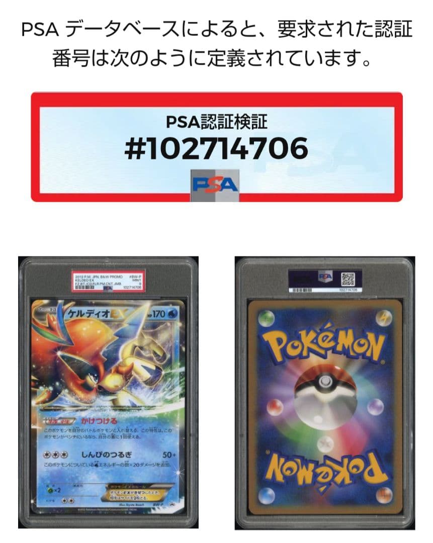 ケルディオEX ジャンボカード PSA9
