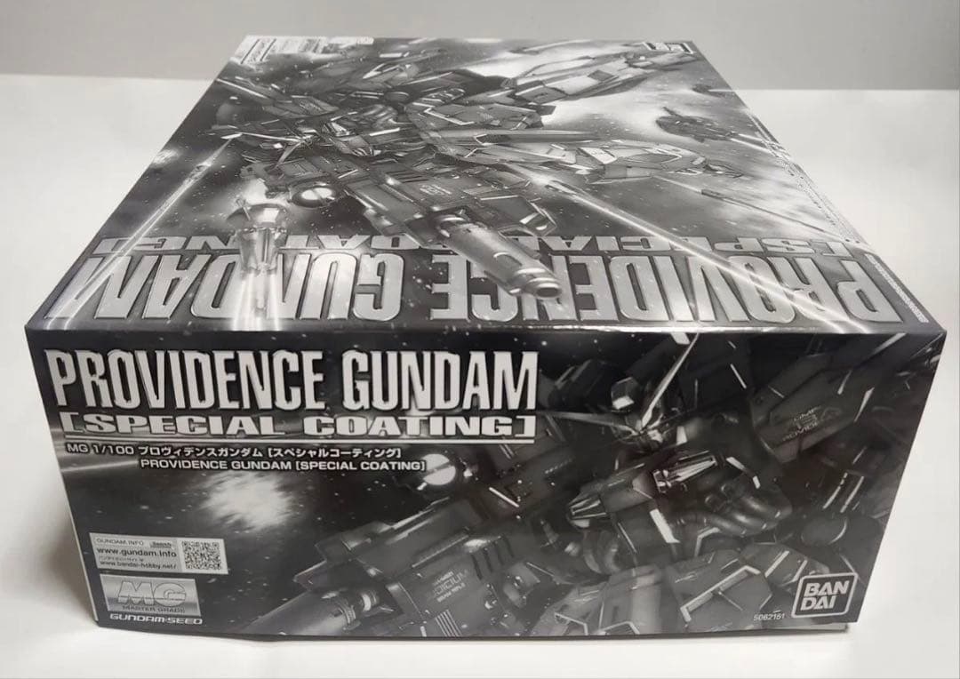 MG 1/100 2点セット 新品