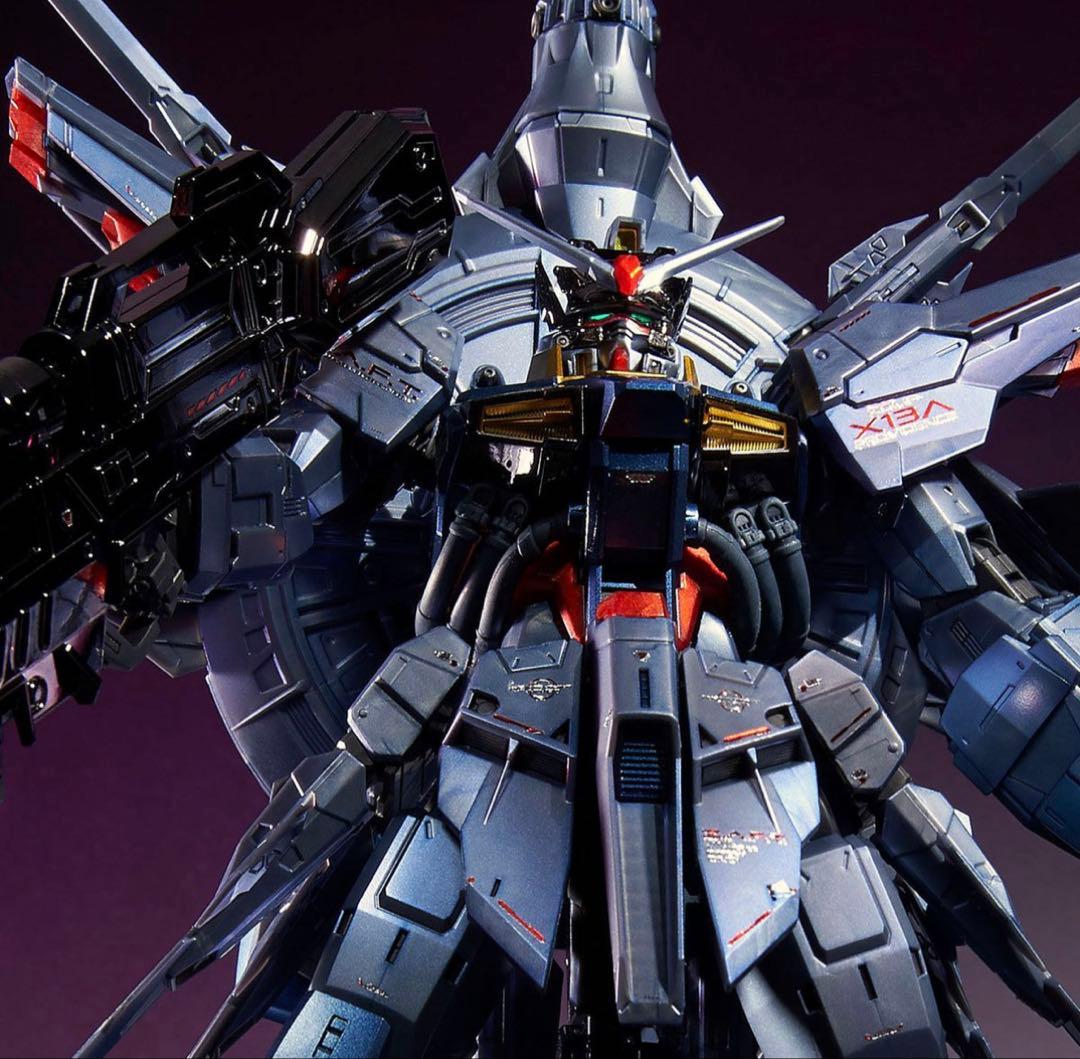 MG 1/100 2点セット 新品