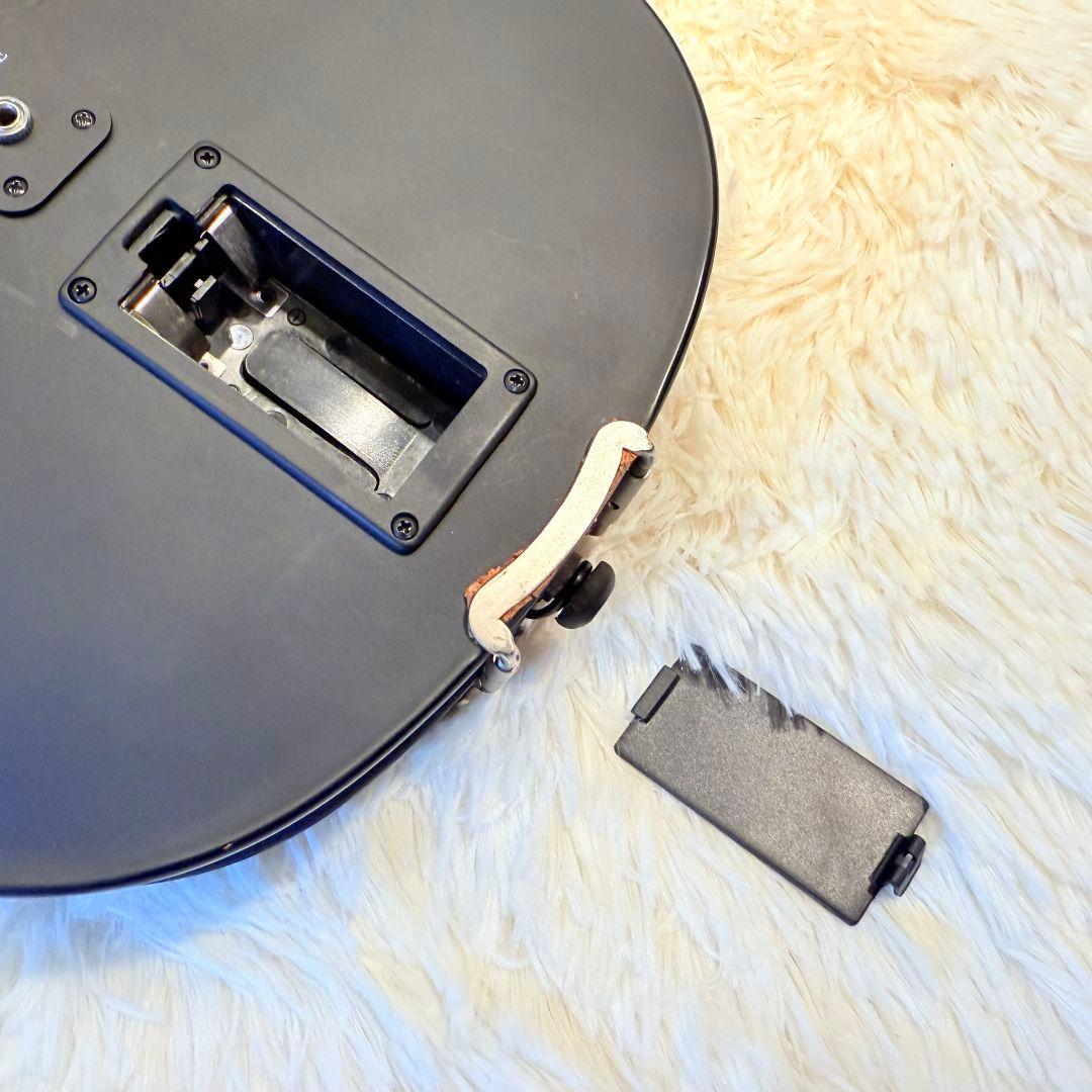 hallstatt ハルシュタット CV-210E エレキバイオリン 黒