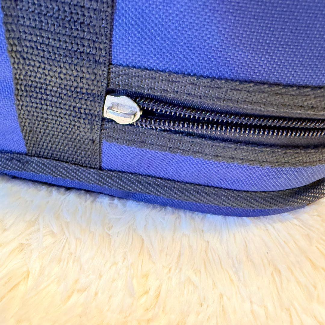 hallstatt ハルシュタット CV-210E エレキバイオリン 黒