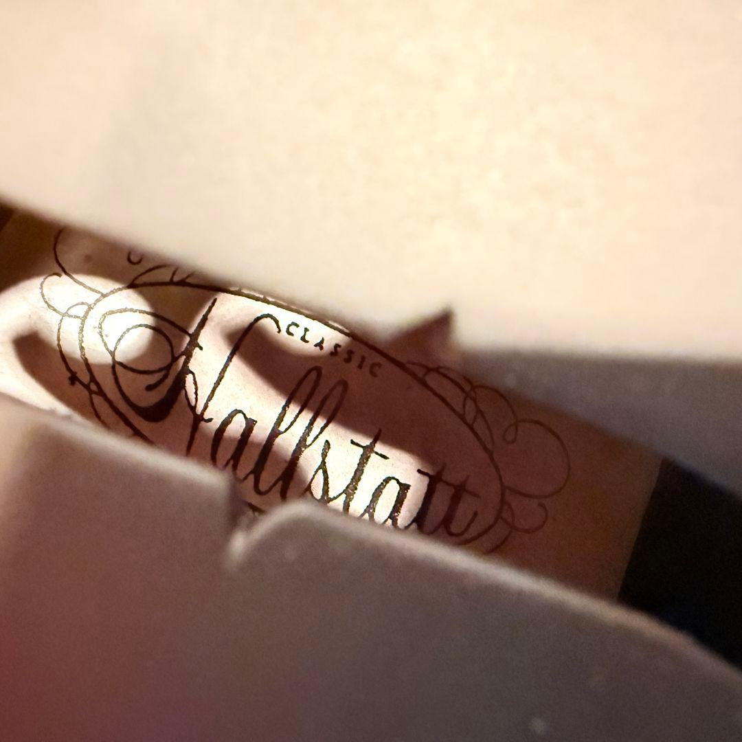 hallstatt ハルシュタット CV-210E エレキバイオリン 黒