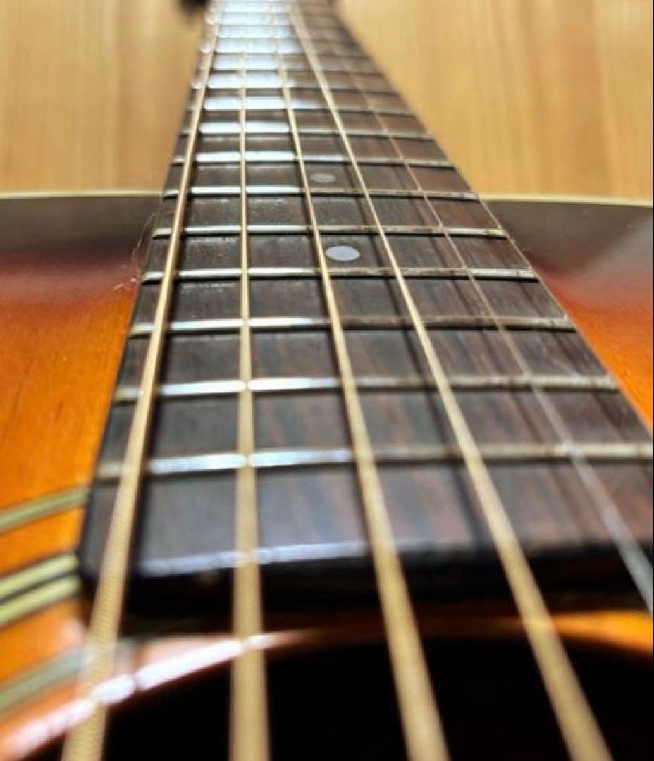 【エレアコ化】Aria ADW-200BS 低弦高 ライブ 録音