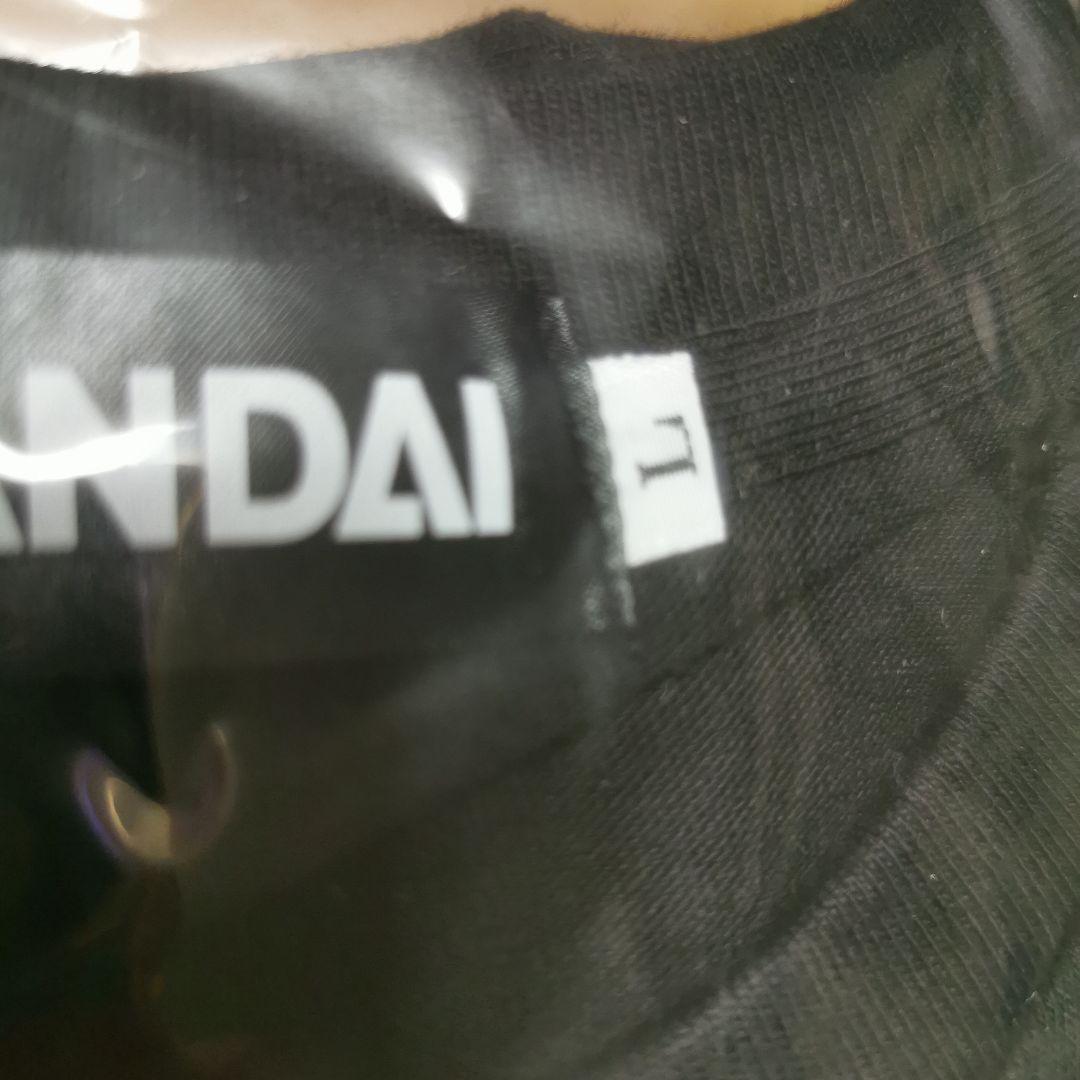 ウルトラマンコスモス　プレミアムバンダイ　プレバン　Tシャツ　Lサイズ　特典欠品