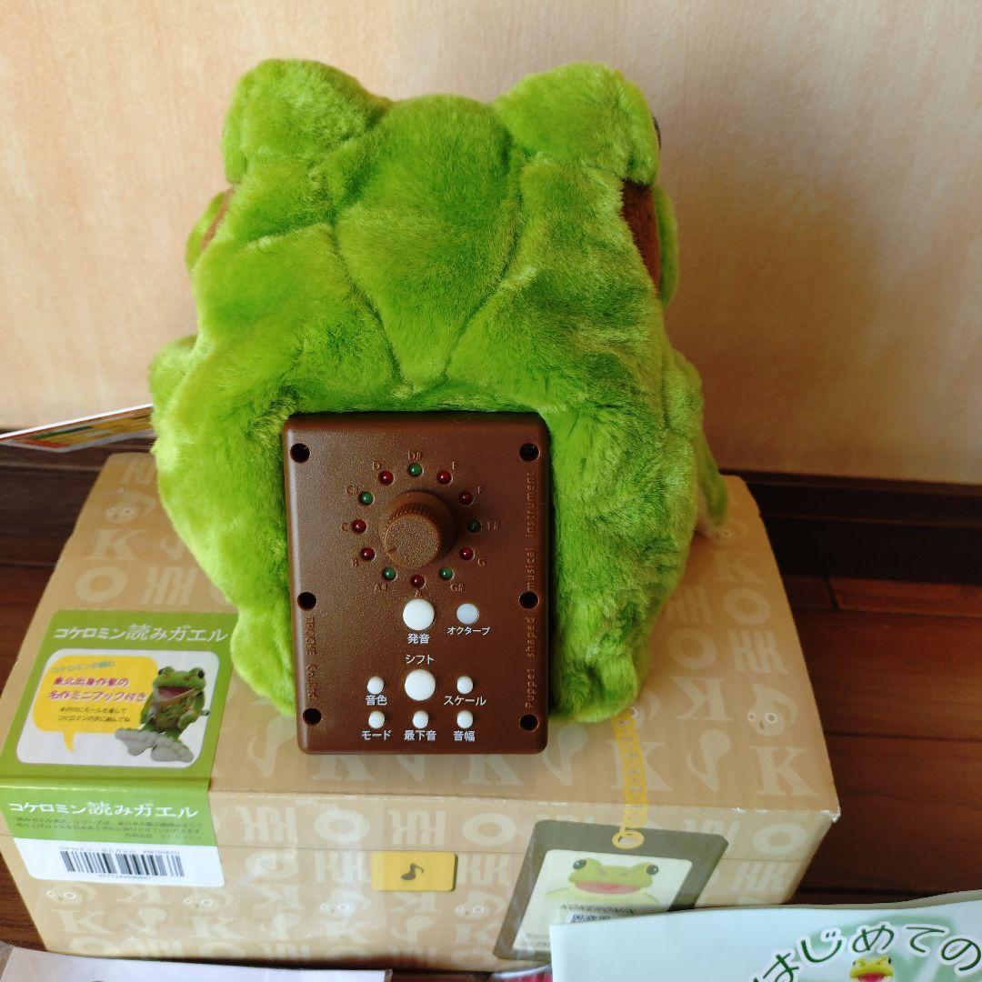 コケロミンアマガエル 読みガエル