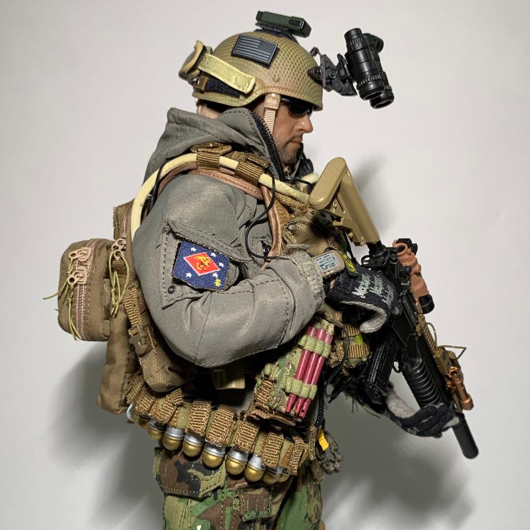 DAMTOYS 1/6スケール　ミリタリーフィギュア　MARSOC オペレーター