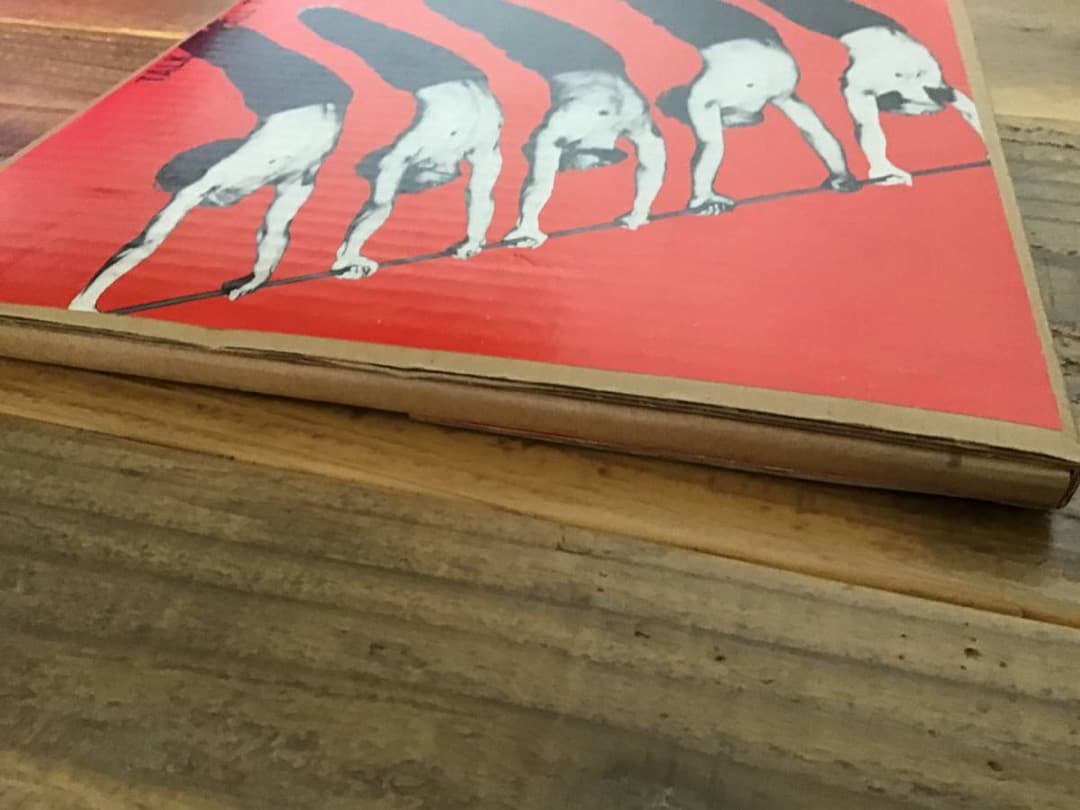 ★ツアーパンフレット/渡辺香津美/KAZUMI BAND/TOUR 1981