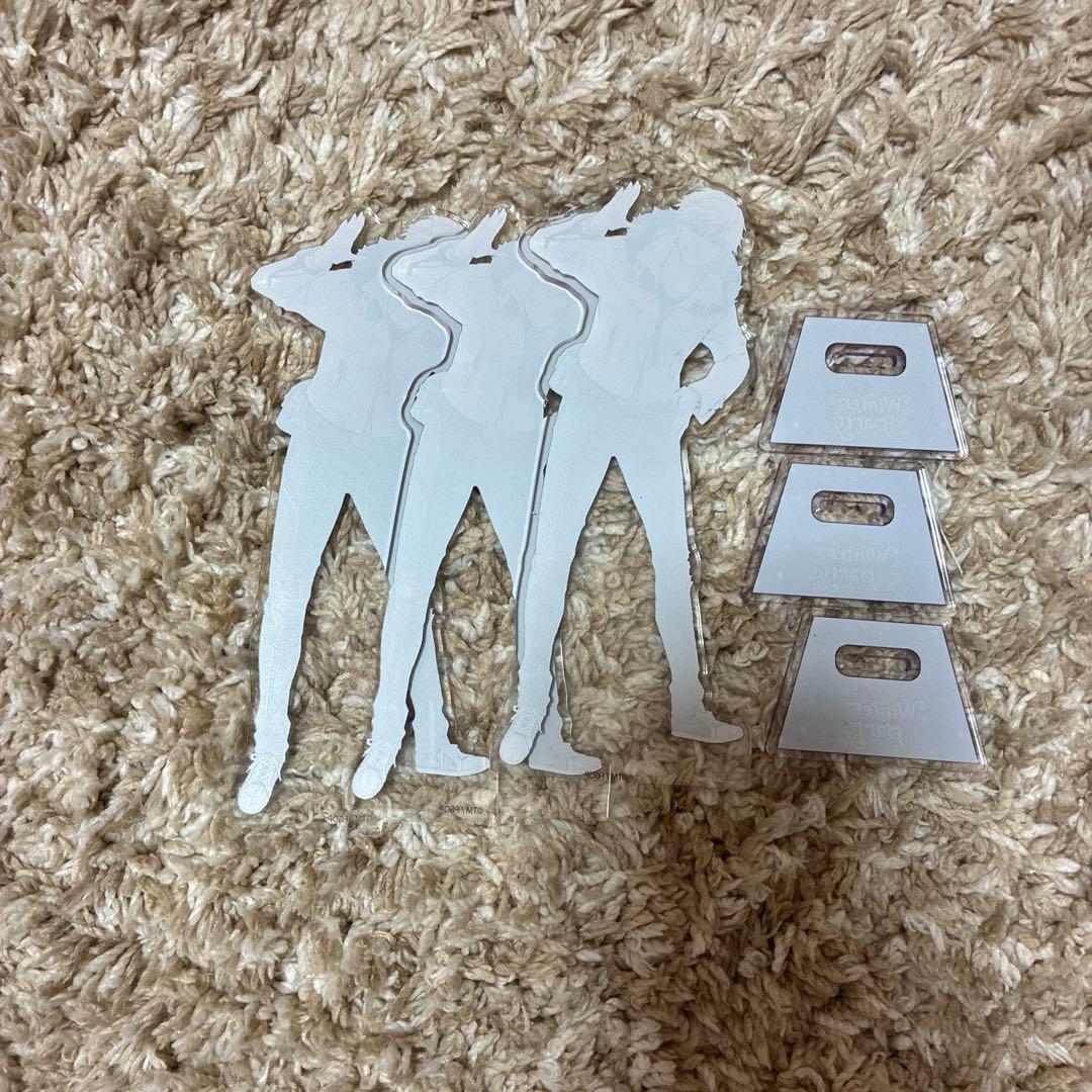 fgo ローラン ウィンターパーティー 缶バッジ＆アクリルスタンド