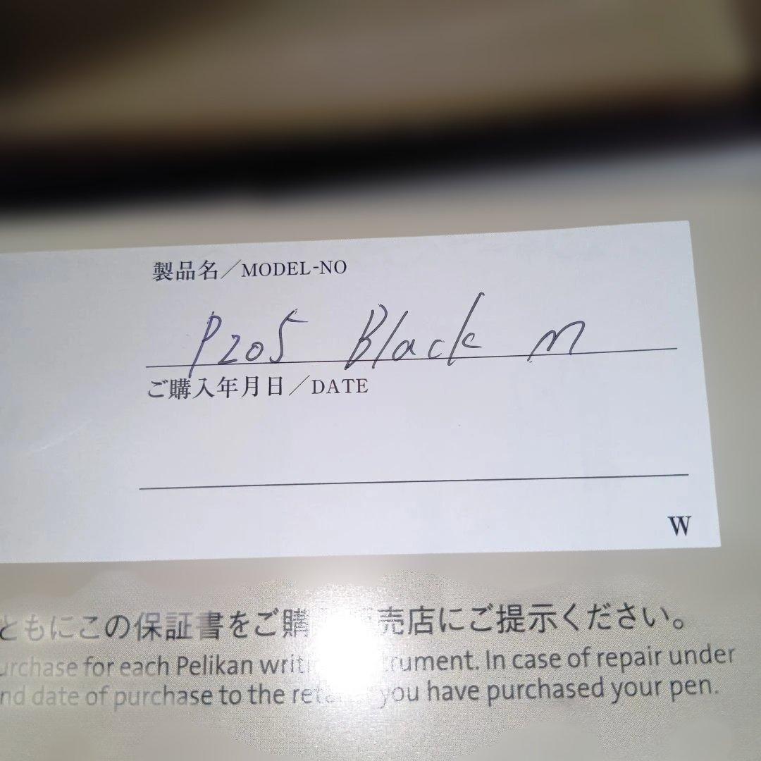 ペリカンP205中字新品インク付き万年筆筆記具