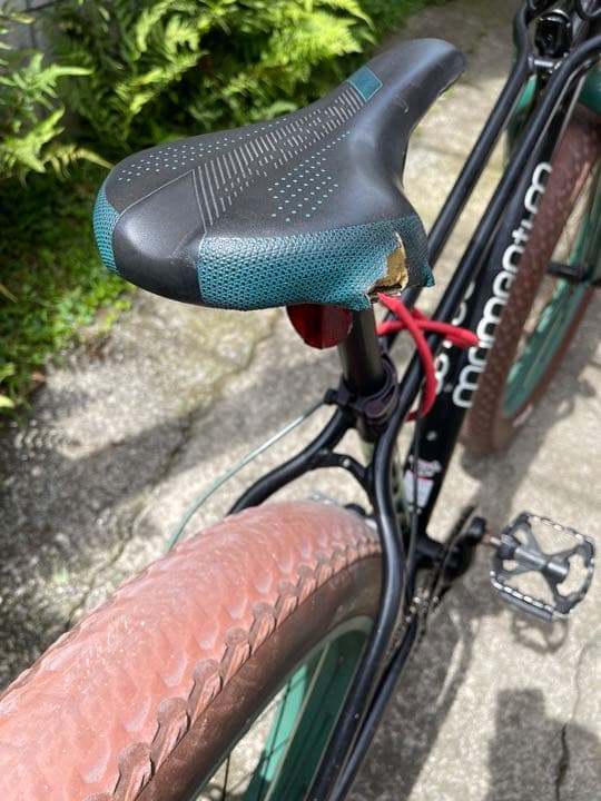 自転車本体 Momentum