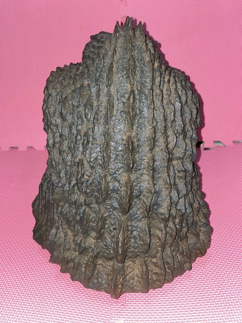 キンゴジ　ヘッド　（中古品）