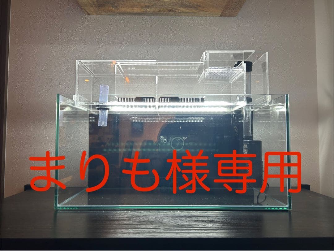 まりもアクリル水槽