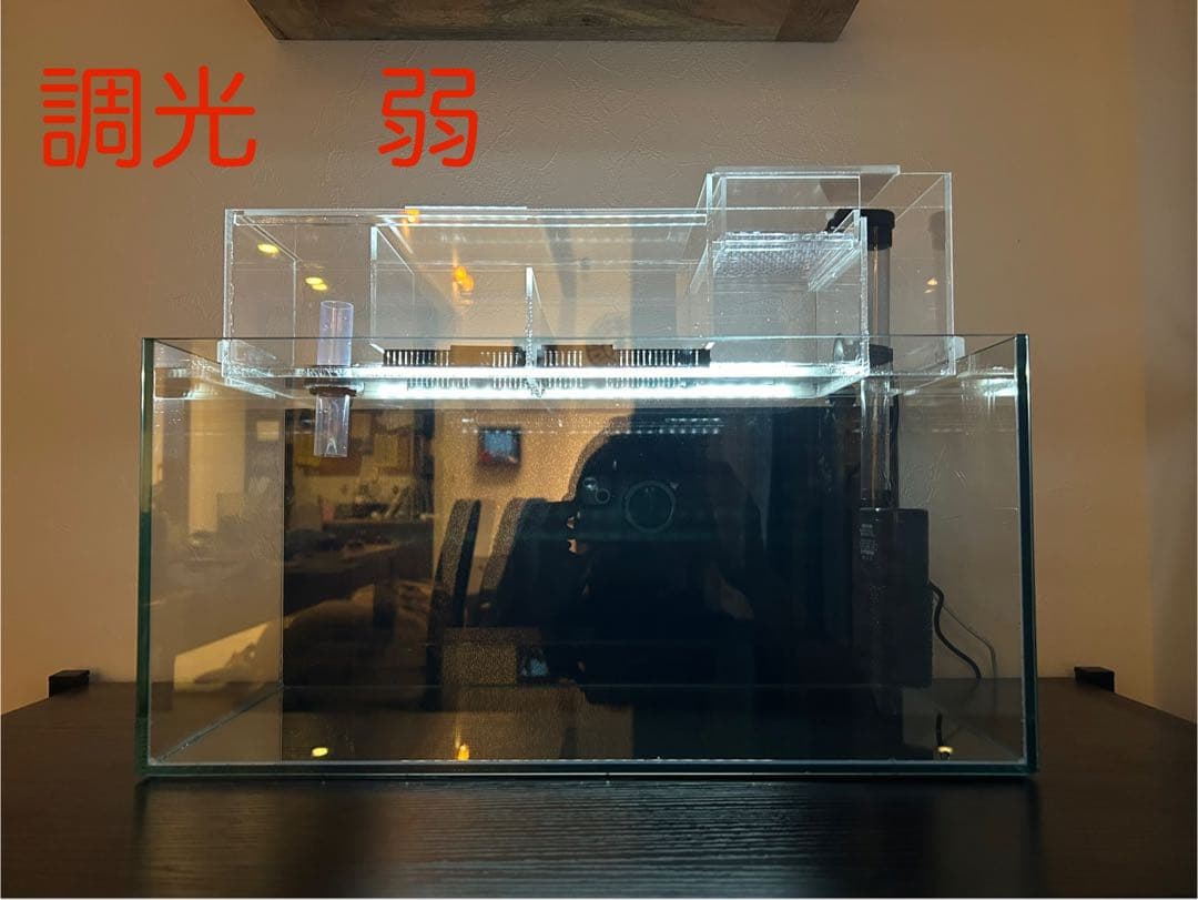 まりもアクリル水槽