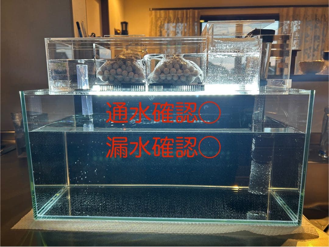 まりもアクリル水槽