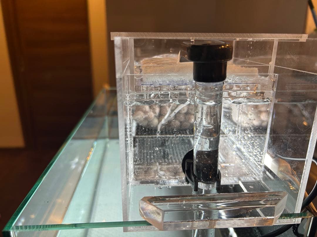 まりもアクリル水槽