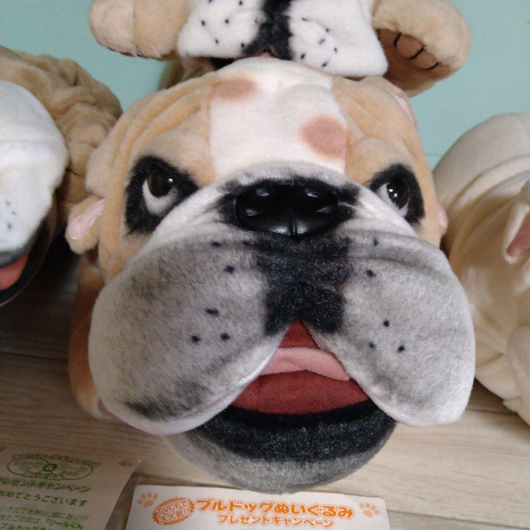 ブルドッグぬいぐるみ 大きめ