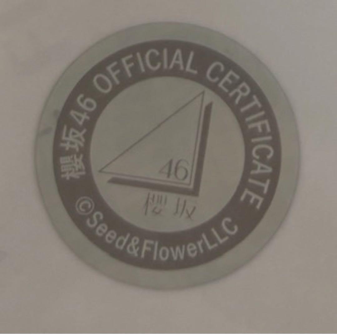 向井純葉　2024年クリスマスサンタ　直筆サイン 悪用防止のためモザイクしてます