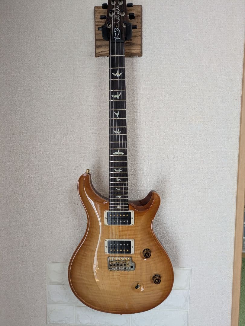 PRS Custom 24 カスタム多数