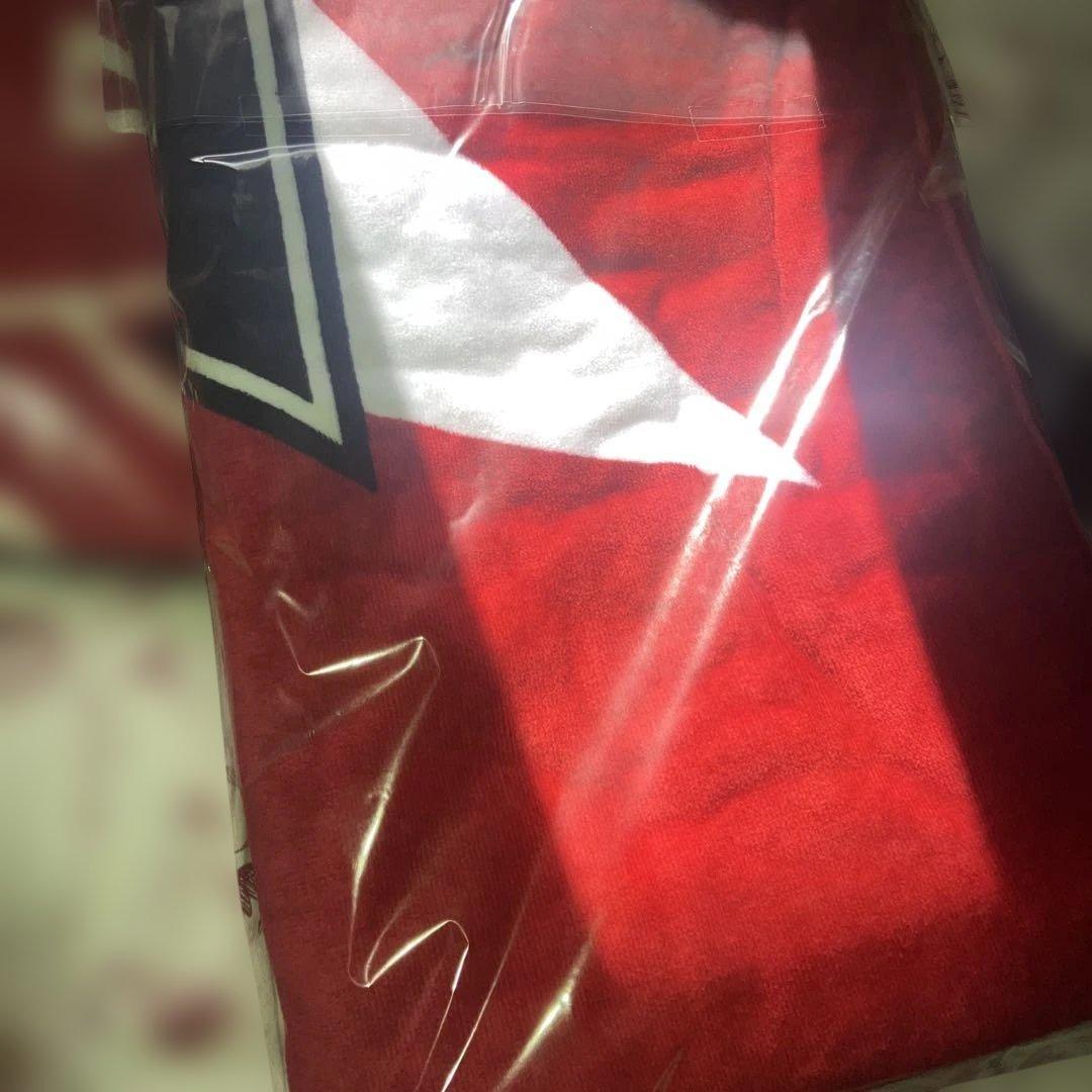 矢沢永吉　SBT 完売品　ロゴ　スター　赤白