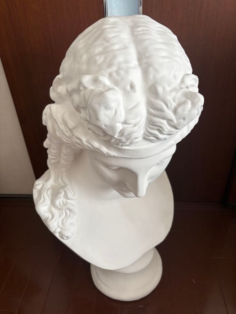 石膏像 アリエス 胸像