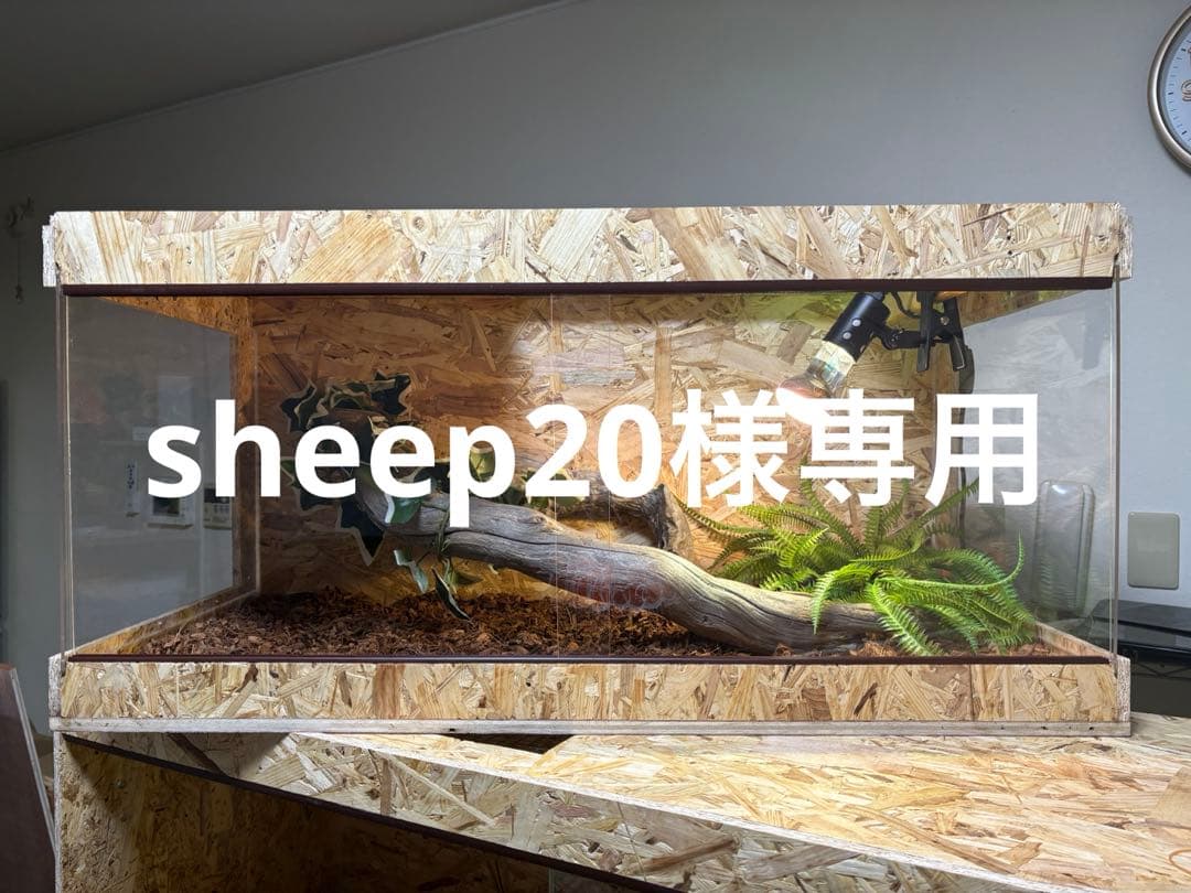 sheep20　904545サイドアクリル
