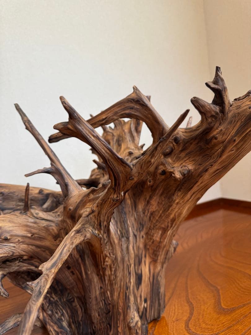 とても美しい流木　特大　水槽　インテリア　美術品　アクアリウム　中庭　玄関
