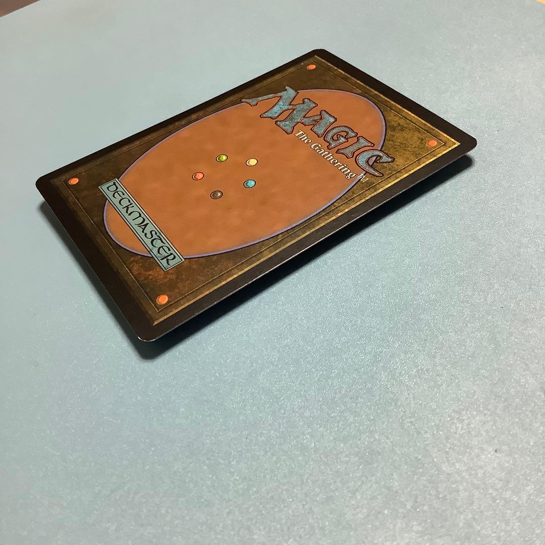 マイコシンスの格子/Mycosynth Lattice  DST英語foil