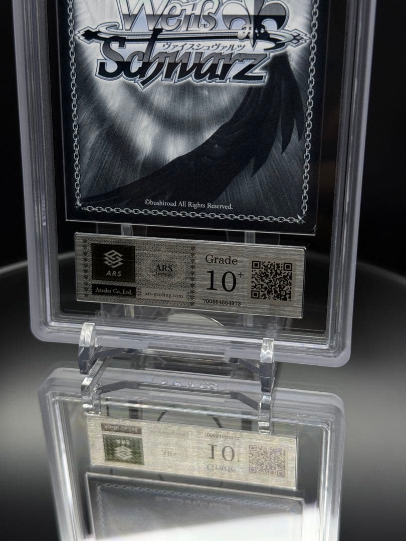 仲間を守る為の剣 エルザ SEC＋　ARS10＋　100年クエスト