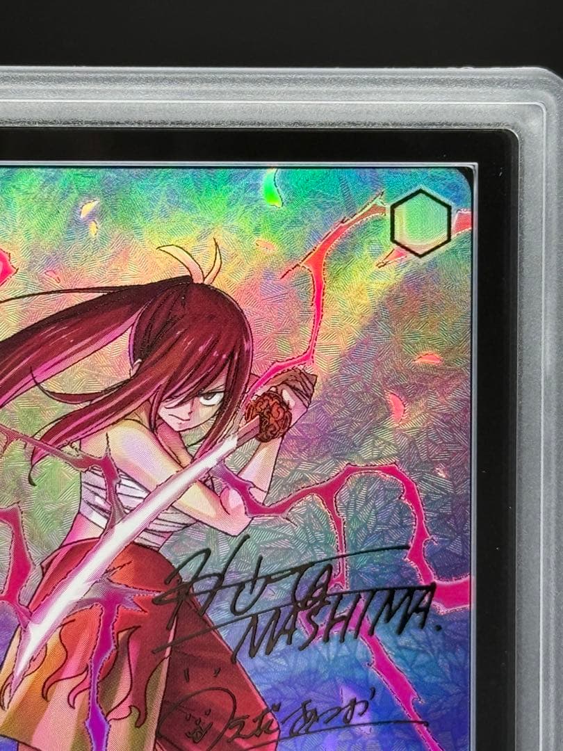 仲間を守る為の剣 エルザ SEC＋　ARS10＋　100年クエスト