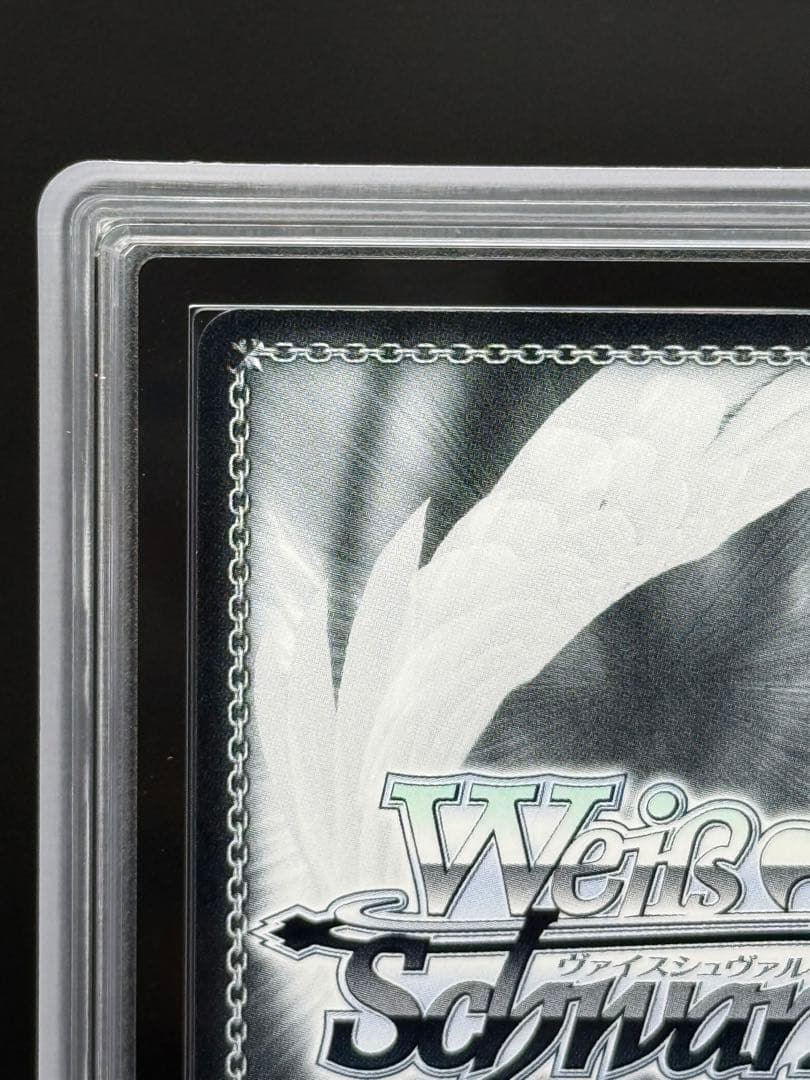 仲間を守る為の剣 エルザ SEC＋　ARS10＋　100年クエスト