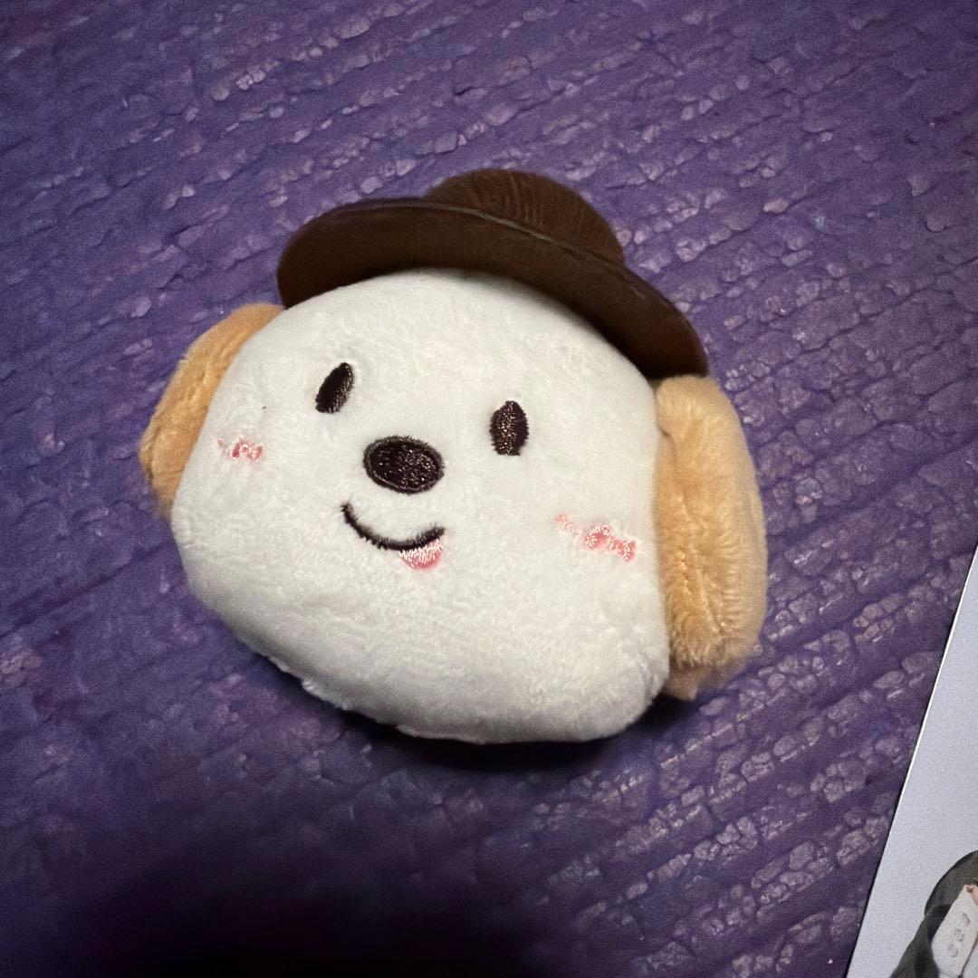 RIIZE ペンミ　ぬいぐるみバッジ アントン モンリョンイ トレカ付き