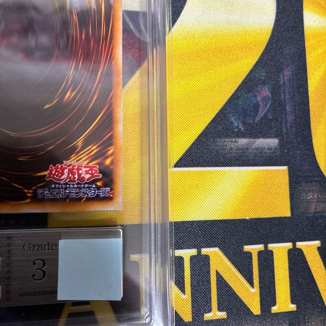 ホーリー・ナイト・ドラゴン ars