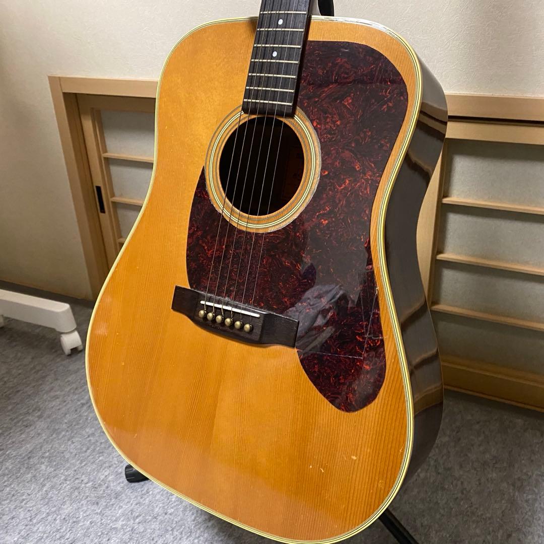 【よっこ】アコースティックギター レスターフラットピックガード 桜井和寿