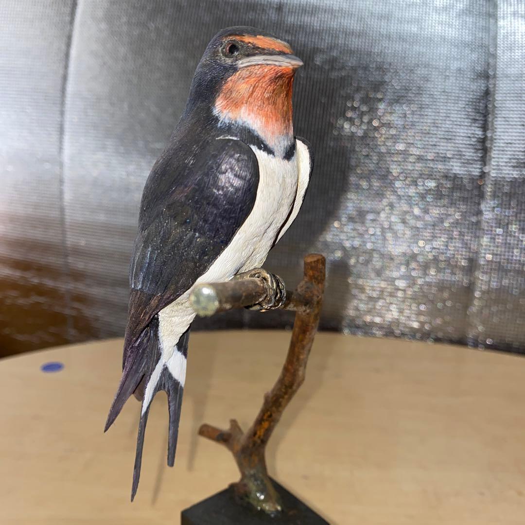 バードカービング