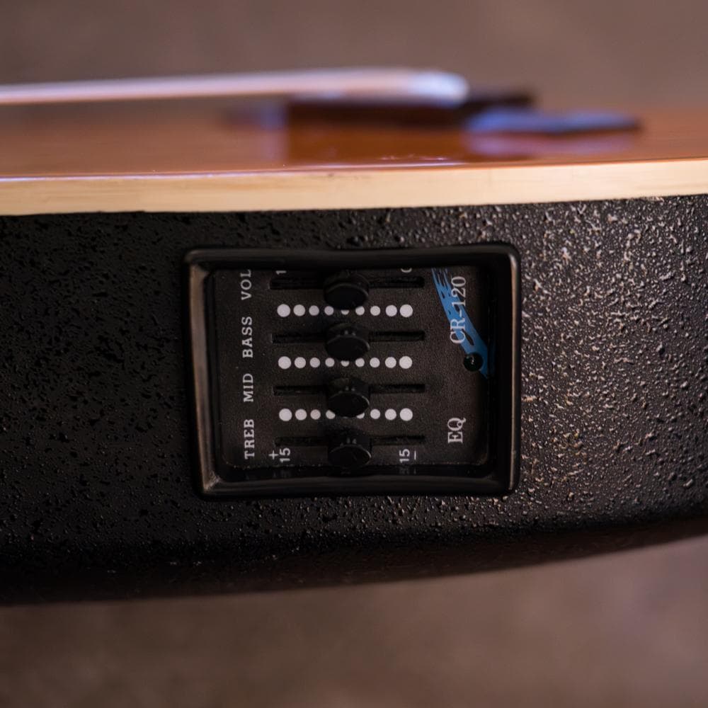 Stars & Strings SS－C10 OR フジゲン製エレアコ