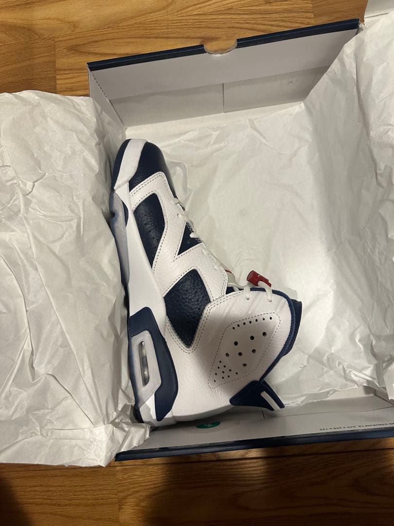 ★美品　Nike Air Jordan 6 26.5