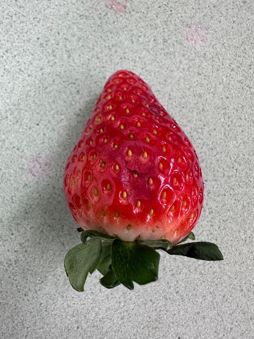 ⭐︎いちご農家より直送！とちあいか　規格外詰め合わせ　4kg 送料込⭐︎ No.11